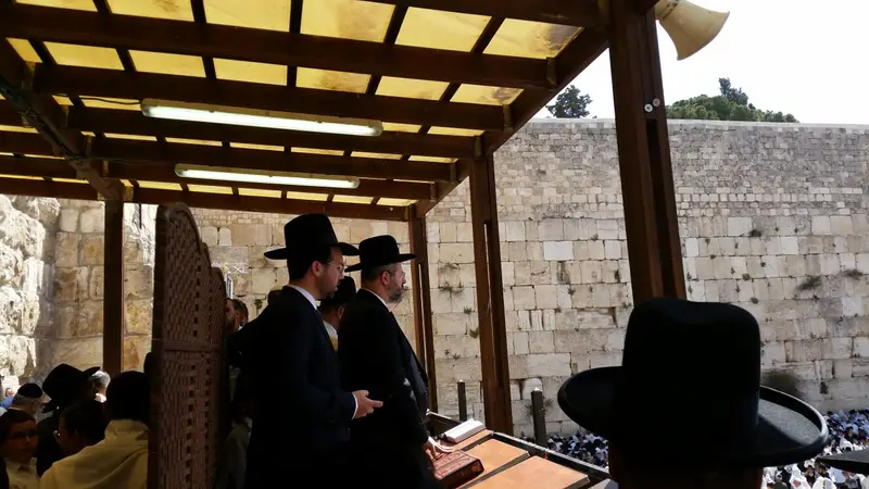 הרב לאו