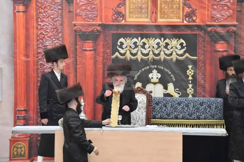 ויז'ניץ אויפרויף צילום יהושע פרוכטר (18)