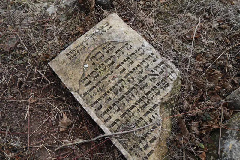 מסע הרב שפירא צילום יעקב נחומי (13)