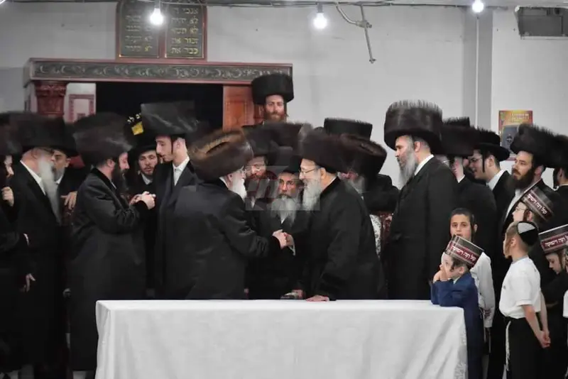 ויז'ניץ אויפרויף צילום יהושע פרוכטר (7)