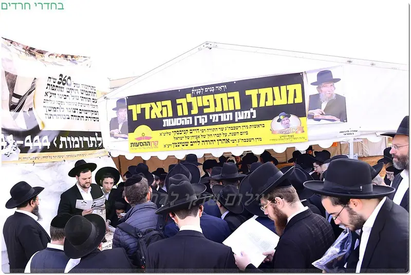 מרן