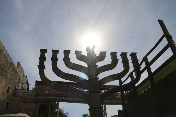 WhatsApp Image 2018-11-28 at 13.50.05(1)