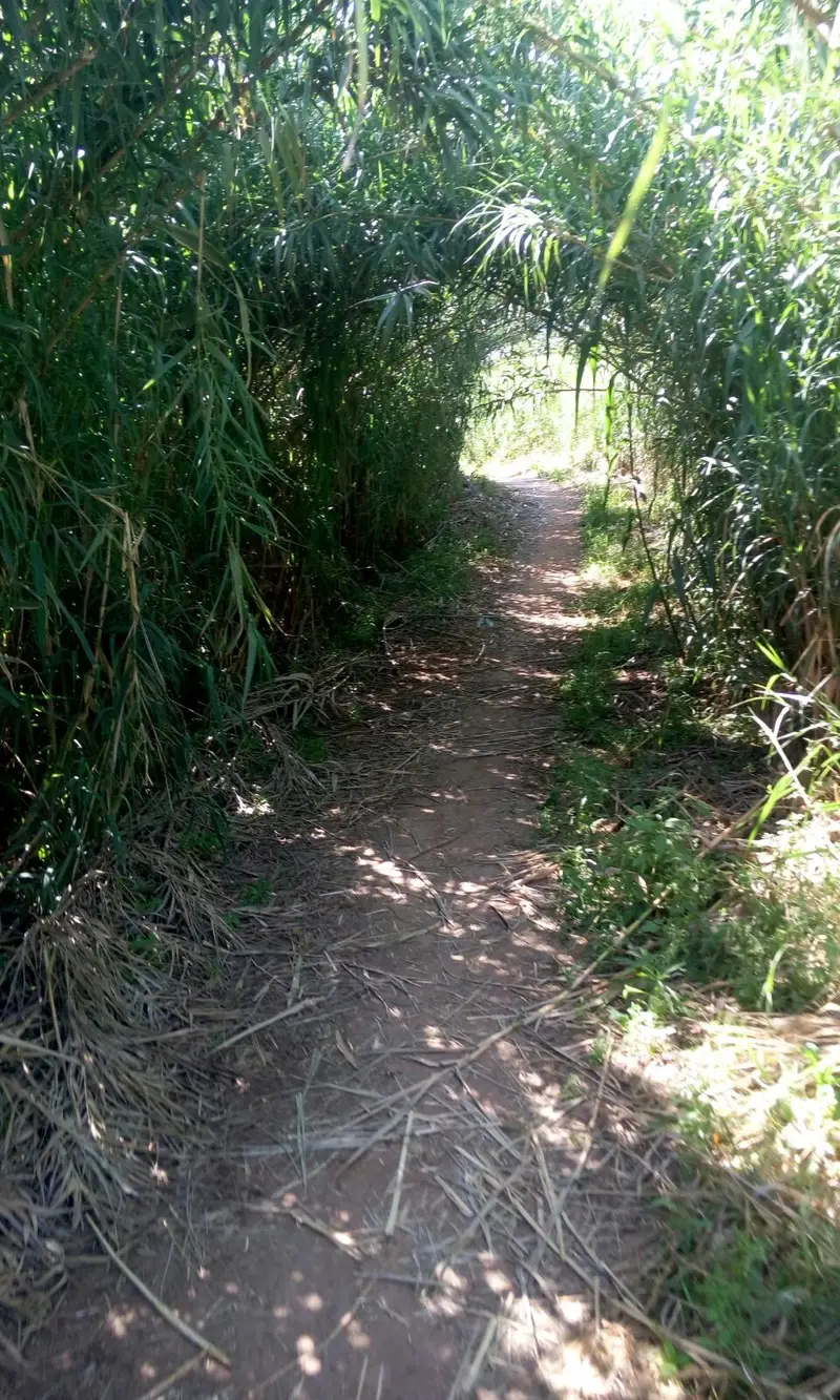 IMG-20170803-WA0035