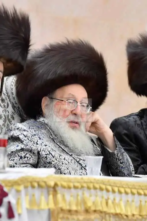 ויז'ניץ אויפרויף צילום יהושע פרוכטר (32)