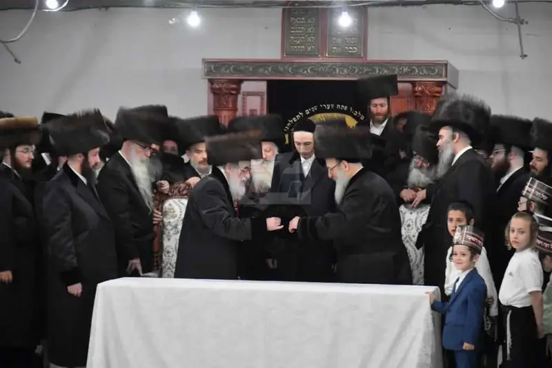 ויז'ניץ אויפרויף צילום יהושע פרוכטר (6)