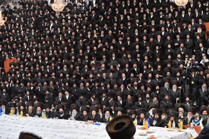 ויז'ניץ אויפרויף צילום יהושע פרוכטר (25)