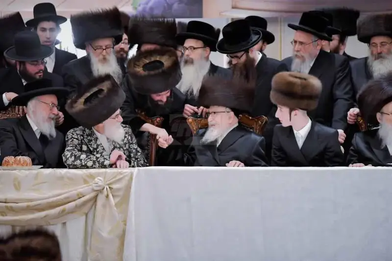אירוסין ויז'ניץ צילום יהושע פרוכטר (14)
