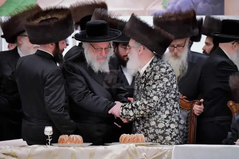 אירוסין ויז'ניץ צילום יהושע פרוכטר (21)