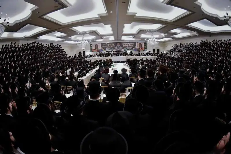 אירוסין ויז'ניץ צילום יהושע פרוכטר (8)