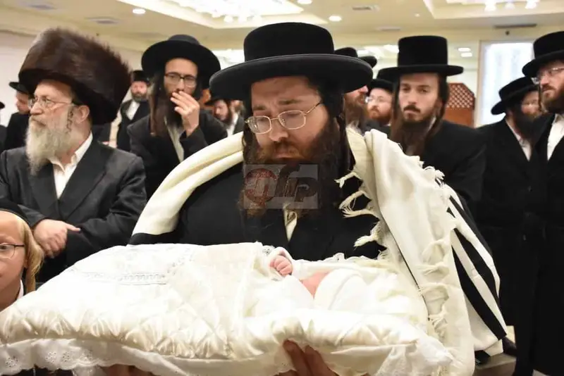 ברית ז'מיגראד צילום יהודה פרקוביץ (8)