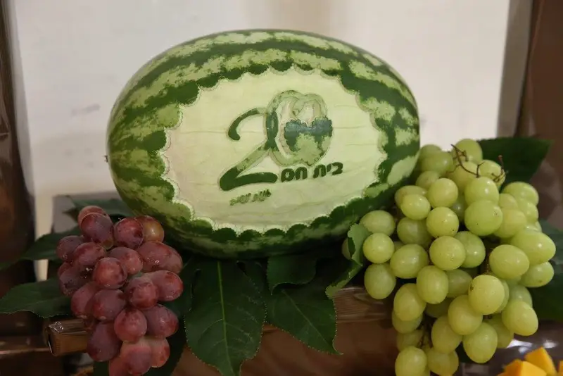 חתונה אריה מונק בית חם צילום יעקב כהן (2)