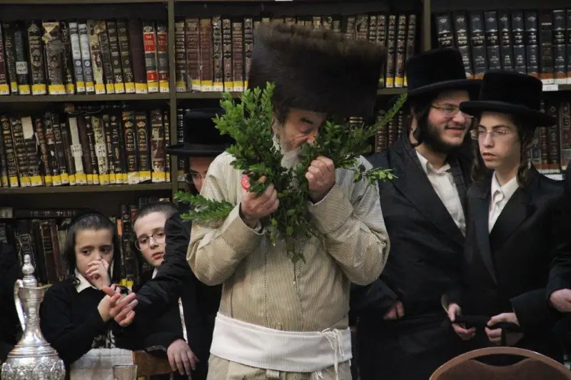 נדבורנה צפת צילום דוד קשת (10)