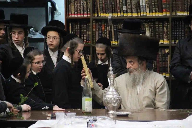 נדבורנה צפת צילום דוד קשת (14)