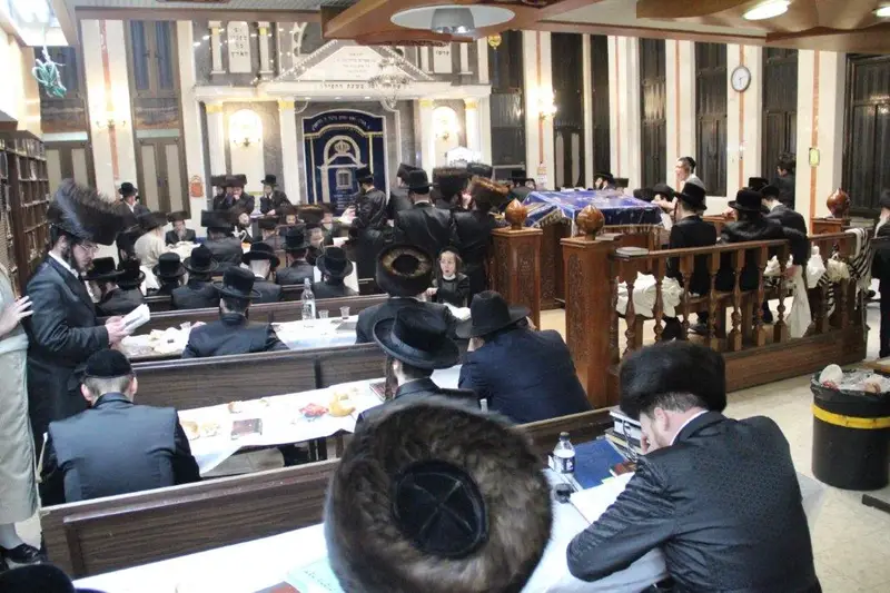 נדבורנה צפת צילום דוד קשת (4)