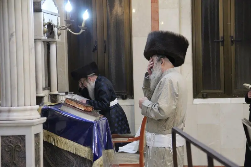 נדבורנה צפת צילום דוד קשת (5)