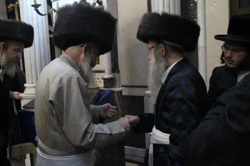 נדבורנה צפת צילום דוד קשת (6)