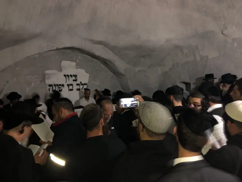 ציון כלב בן יפונה