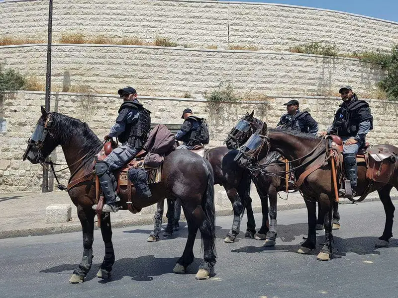 שוטרים פרשים ירושלים
