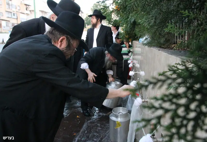 סקווירא כותל המערבי