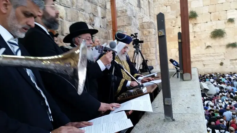 אלי ישי לאו כותל תפילה