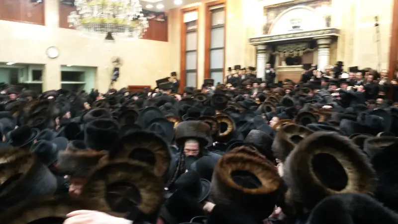לוייה ואזנר