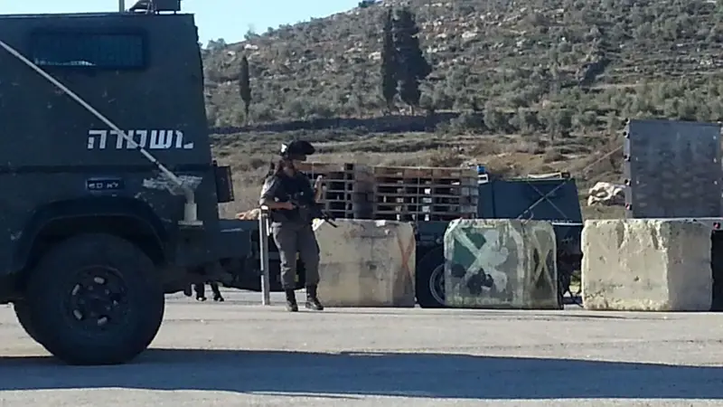 פיגוע דריסה צומת תפוח