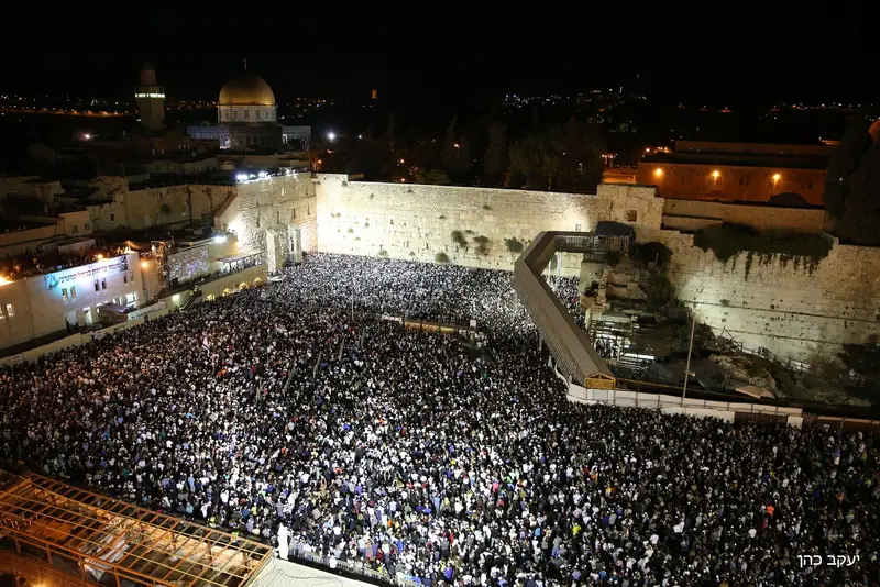 הכותל, סליחות צילום: יעקב כהן