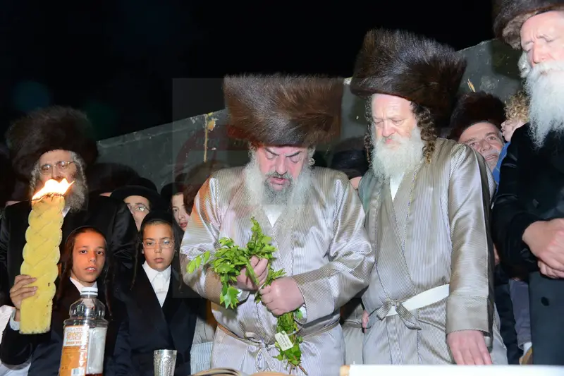 לעלוב