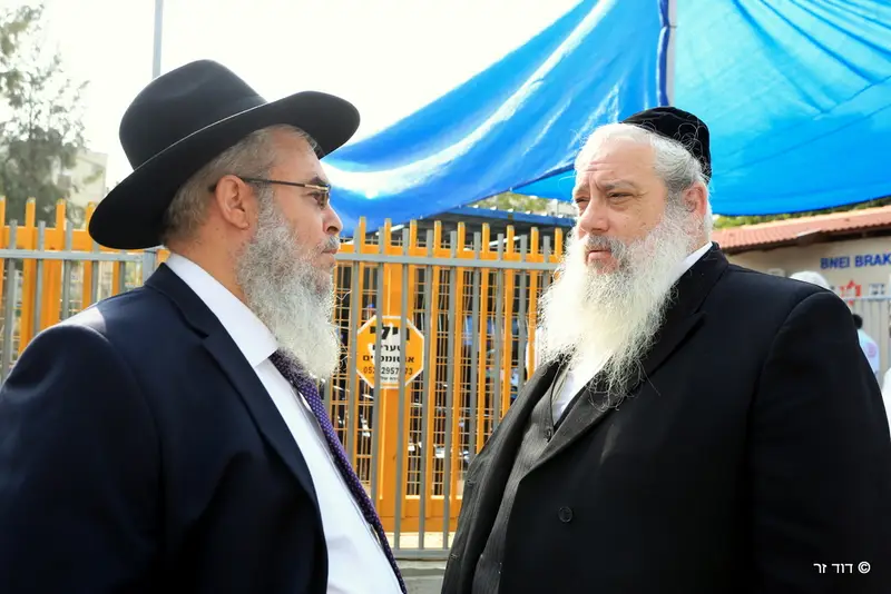 זייברט צ'ולק דוד זר