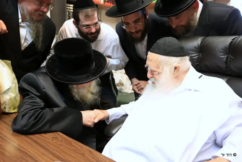 צילום: דוד זר