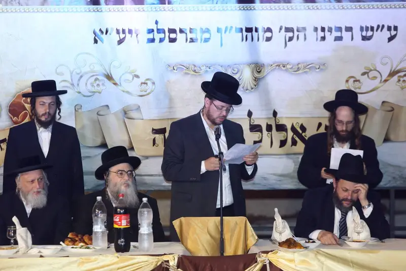 YS1A5954