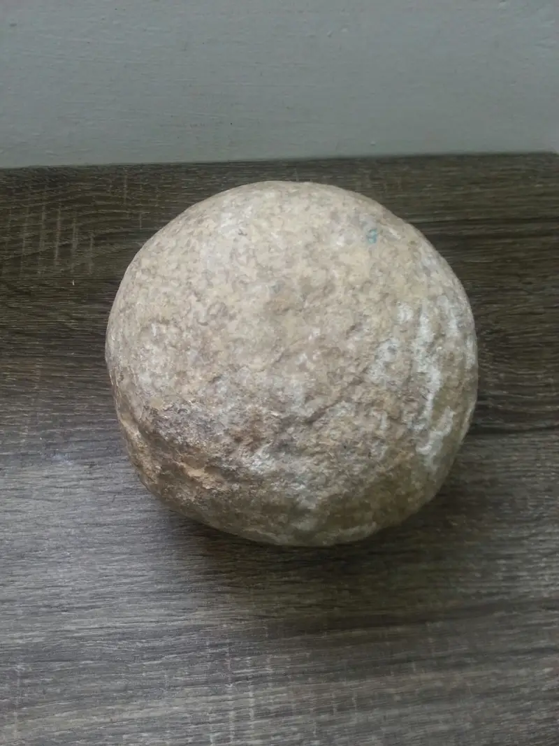 תמונה 1 (5)