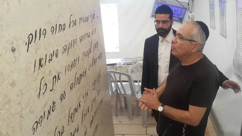 אמנון לוי