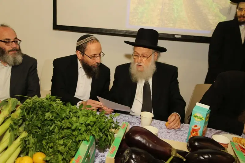 קוק רימון שמיטה