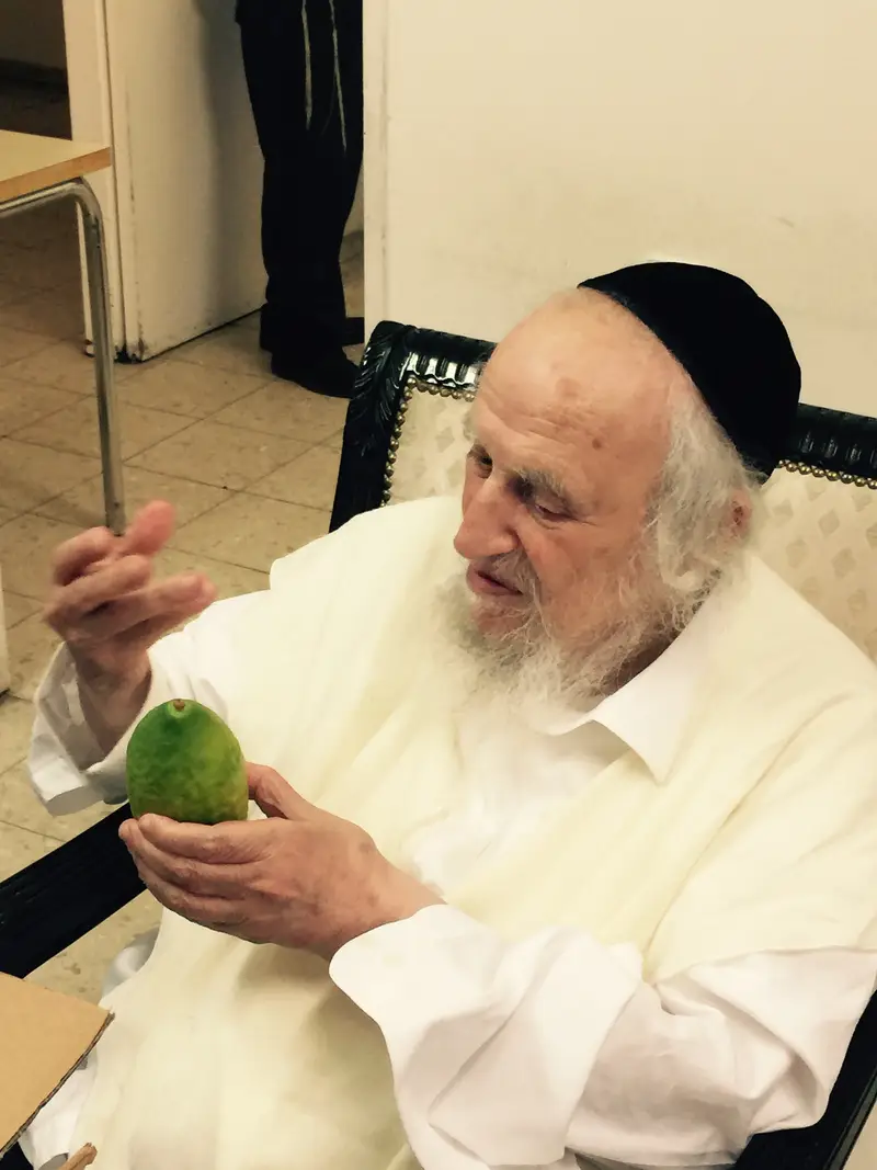 אתרוגים 3 (1)