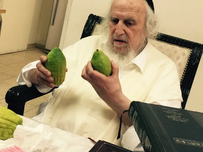 אתרוגים 4 (1)