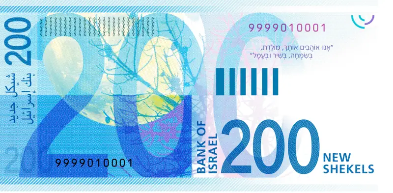גב שטר 200