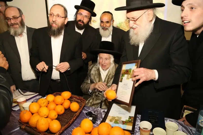 קוק קאליב רימון שמיטה