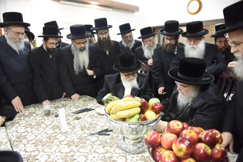 סקווירא בעלזא (12)