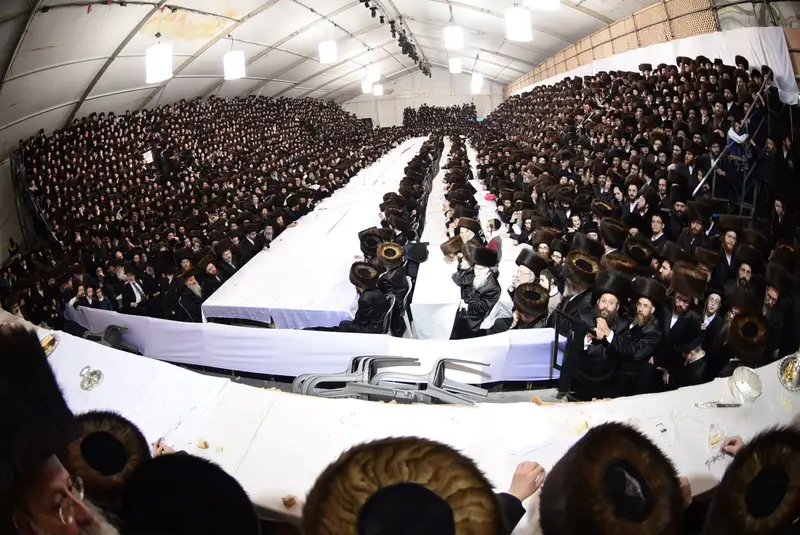 סקווירא שוקי לרר (9)