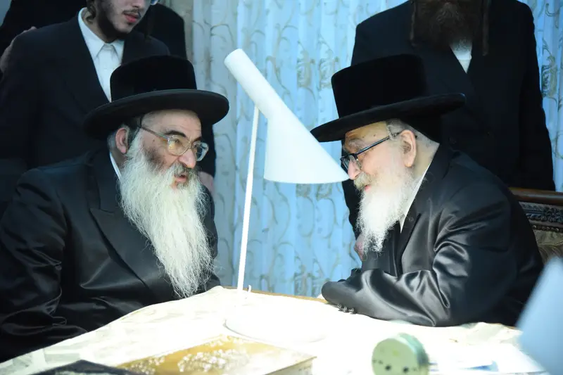 סקויירא צילום משה גולדטיין (13)