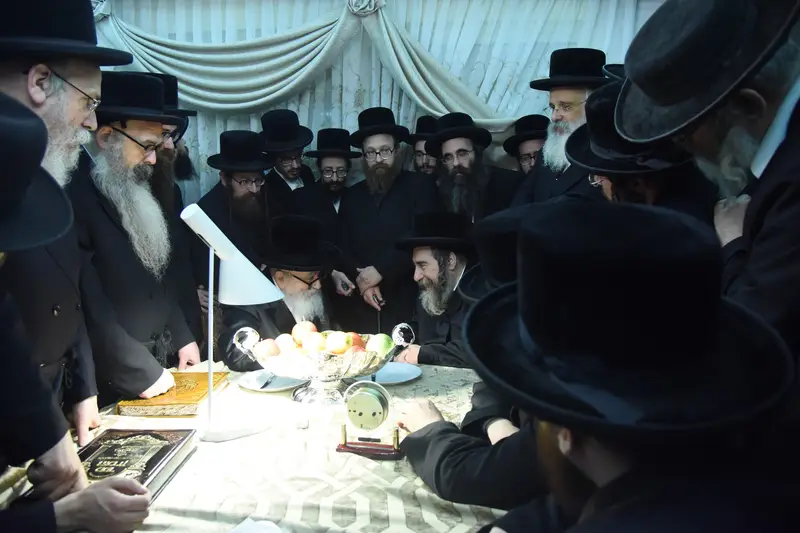 סקויירא צילום משה גולדטיין (15)