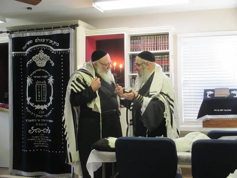 צילום יוסי גאלדבערגער סאטמר נופש (2)