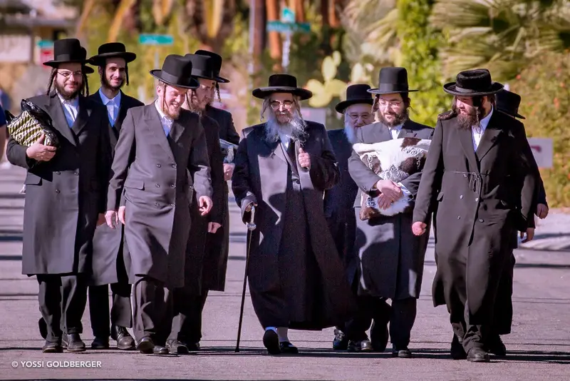 צילום יוסי גאלדבערגער סאטמר נופש (4)