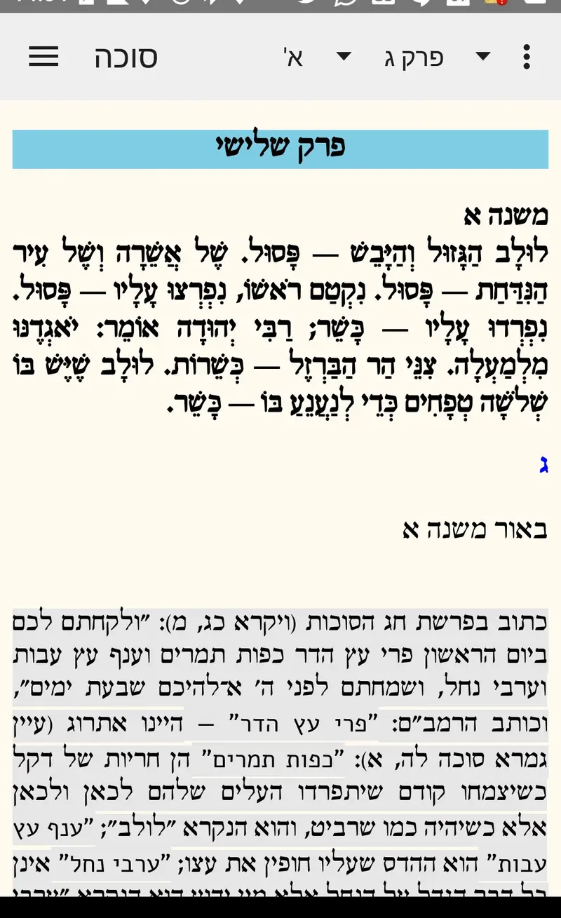 צילומסך - משנה