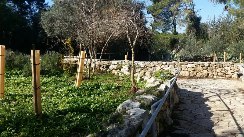 שבילים ביער