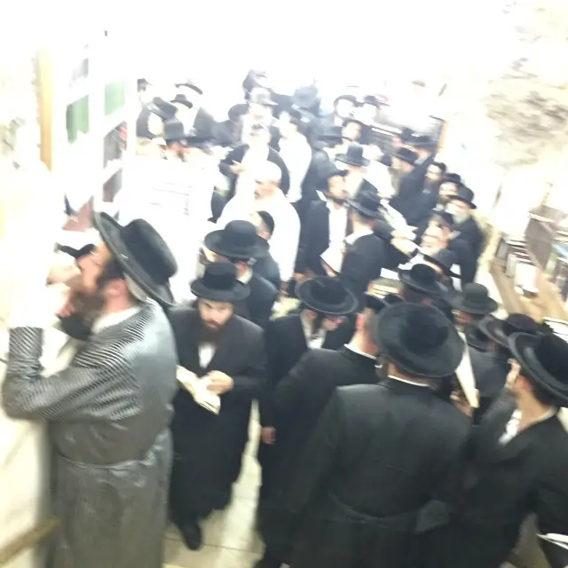 תמונה 2 (31)