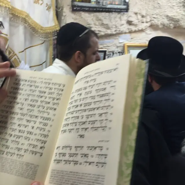 תמונה 3 (24)