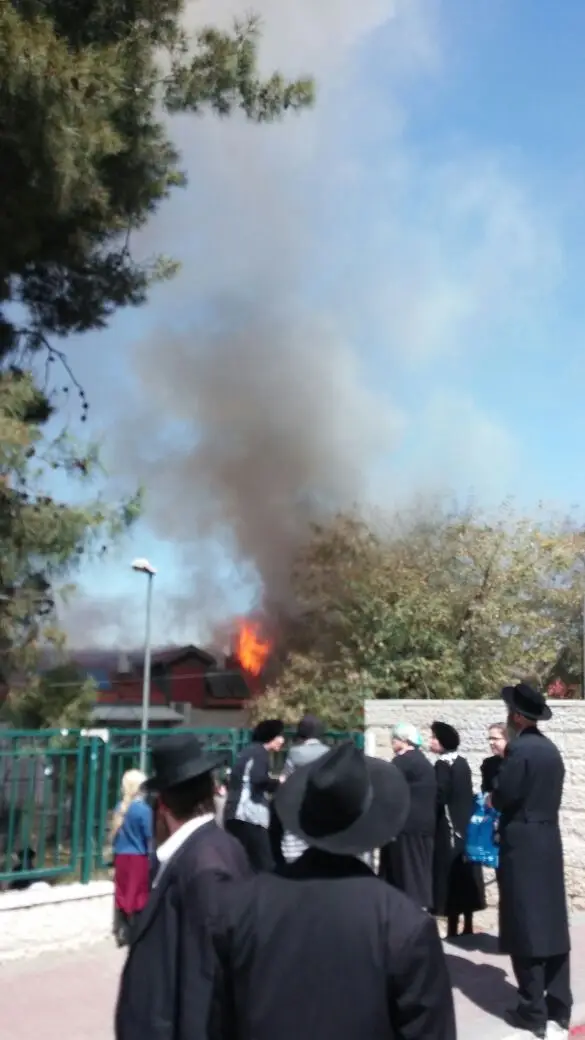 תמונה 3 (3)