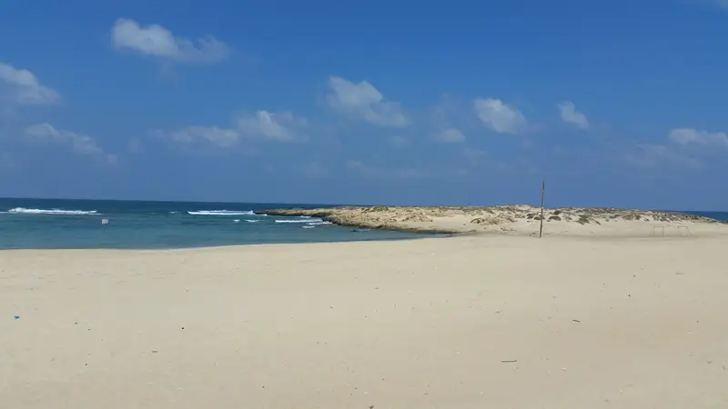 חוף דור